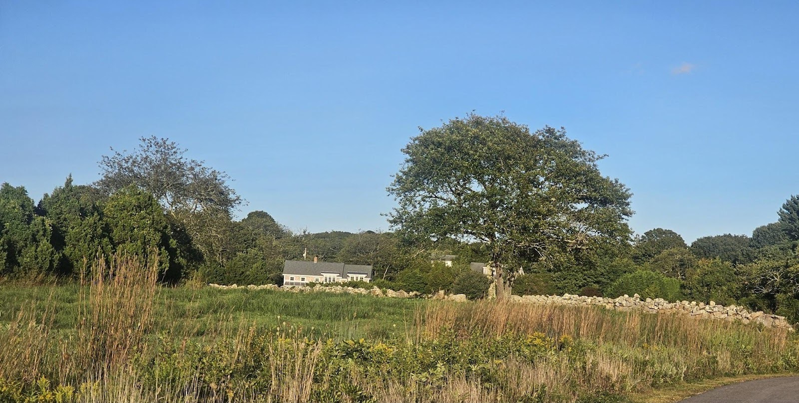 Nordic walking in nature